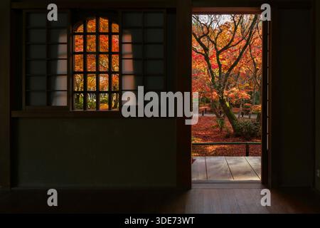 Ein Blick aus dem Enkōji-Tempel in Kyoto offenbart eine lebhafte Herbstlandschaft. Das Bild zeigt ein traditionelles japanisches Interieur, das eine Szene der Co-Szene umrahmt Stockfoto