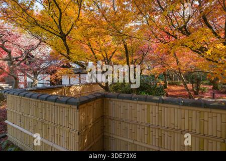 Der Enkōji-Tempel in Kyoto zeigt lebhaftes Herbstlaub. Auf dem Tempelgelände im Sakyo Ward befindet sich ein traditioneller japanischer Garten mit Col Stockfoto