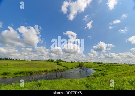 Ein malerischer Blick auf einen Fluss, der sich durch üppige grüne Felder unter einem blauen Himmel mit flauschigen Wolken schlängelt. Stockfoto