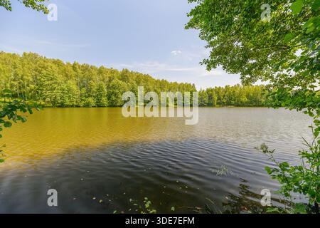 Eine ruhige und malerische Seeszene mit lebendigen Bäumen, die sich in ruhigem Wasser unter einem sonnigen Himmel spiegeln Stockfoto