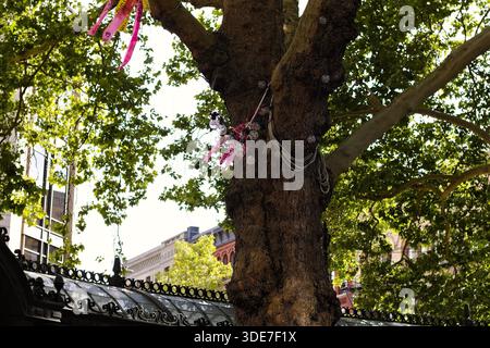 Der dekorierte Baum in der Innenstadt von Seattle fängt das Sonnenlicht durch grüne Blätter ein und verschmilzt urbane Natur, bunte Bänder und eine ruhige Atmosphäre im Viertel. Stockfoto