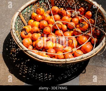 Blick aus einem hohen Winkel auf frisch reife Persimmonen, die in einem traditionellen gewebten Bambuskorb geerntet werden. Das Bild zeichnet sich durch leuchtende orange Farben und starke natürliche s aus Stockfoto