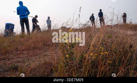 WUHAN, CHINA - 31. OKTOBER 2014: Nahaufnahme von wilden gelben Blüten auf dem Berggipfel. Im Hintergrund sind Silhouetten von Wanderern Stockfoto