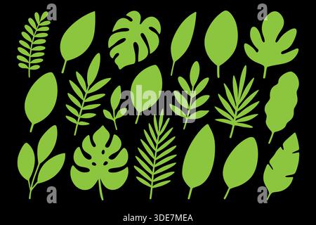 Grüne tropische Blattsilhouetten auf schwarzem Hintergrund. Monstera, Palme und exotisches Laub für dekoratives Design Stock Vektor
