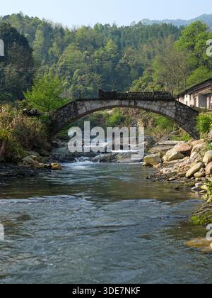 Vertikale Aufnahme einer alten Steinbogenbrücke über einen klaren Gebirgsbach, umgeben von Bäumen. Das Bild vermittelt das kulturelle Erbe und die Natur Stockfoto