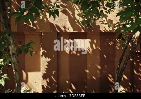Originales, organisches Licht, Schattenüberlagerung auf braune Wand, natürliches ästhetisches Hintergrunddesign Stockfoto