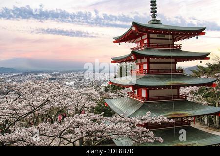 Fujiyoshida, Japan, 12/04/2016 Beschreibung: Chureito-Pagode mit Kirschblüten bei Sonnenuntergang in Fujiyoshida. Stockfoto