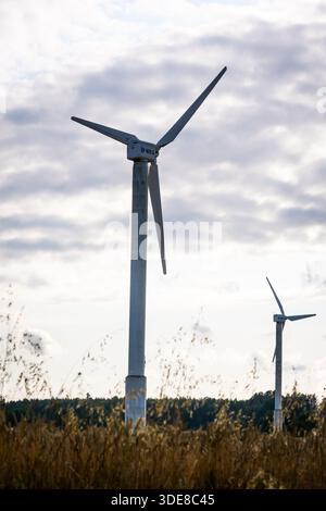 ALSUNGA, LETTLAND. August 2025. WES Windturbinen auf der Wiese. Stockfoto