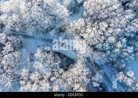 Saint Fiacre, Frankreich. Januar 2026. © PHOTOPQR/OUEST FRANCE/Franck Dubray ; Saint-Fiacre ; 06/01/2026 ; La Loire-Atantique a été placée en Vigilance orange par météo France comme 23 Départements en France pour des chutes de neige et verglas sur les Routes. La neige dans le vignoble nantais avec les vignes gelées à Saint-Fiacre (Foto Franck Dubray) Schneefälle in Frankreich, am 6. januar 2026 *** Lokaler Bildtitel *** Credit: MAXPPP/Alamy Live News Stockfoto