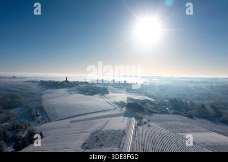 Saint Fiacre, Frankreich. Januar 2026. © PHOTOPQR/OUEST FRANCE/Franck Dubray ; Saint-Fiacre ; 06/01/2026 ; La Loire-Atantique a été placée en Vigilance orange par météo France comme 23 Départements en France pour des chutes de neige et verglas sur les Routes. La neige dans le vignoble nantais avec les vignes gelées à Saint-Fiacre (Foto Franck Dubray) Schneefälle in Frankreich, am 6. januar 2026 *** Lokaler Bildtitel *** Credit: MAXPPP/Alamy Live News Stockfoto