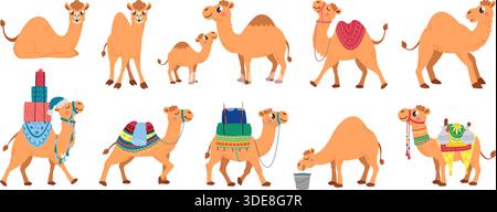 Kamelwüstentiere. Lustige Kamele, die liegen, stehen und gehen. arabische Cartoon-Haustiere mit Sätteln und Teppichen, dekorative Sitze. Niedliches Tier klassischer Vektor Stock Vektor