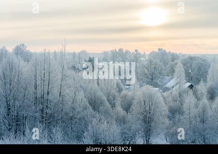 Weiche Wintersonne über eisigen Wäldern und kleinen Dörfern, schneebedeckte Bäume und Dächer in hellem Pastelllicht, ruhige ländliche Landschaft, die ruhige Kälte einfängt Stockfoto
