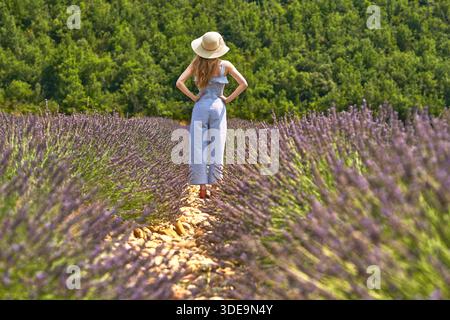 Eine Frau mit Sonnenhut steht in einem Lavendelfeld, umgeben von blühenden lila Blumen, die die ruhige Atmosphäre der natürlichen Umgebung umschmeicheln Stockfoto