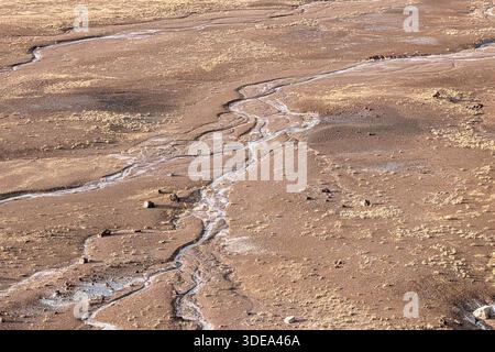 Nationalpark mit versteinerten Wäldern Stockfoto