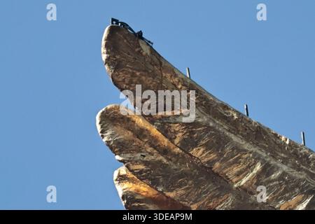 Eine allgemeine Ansicht, die das Angel of Independence Monument am 5. Januar 2026 in Mexiko zeigt. (Foto: Josue Pérez/Nexpher Images) Stockfoto