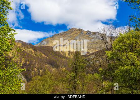 Berg Mont Béas mit Blick auf das Dorf Aulus-les-Bains in der Pyrenäenregion Haut-Couserans, Ariège Stockfoto
