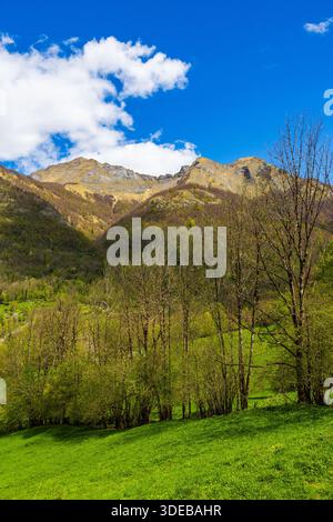 Berg Mont Béas mit Blick auf das Dorf Aulus-les-Bains in der Pyrenäenregion Haut-Couserans, Ariège Stockfoto