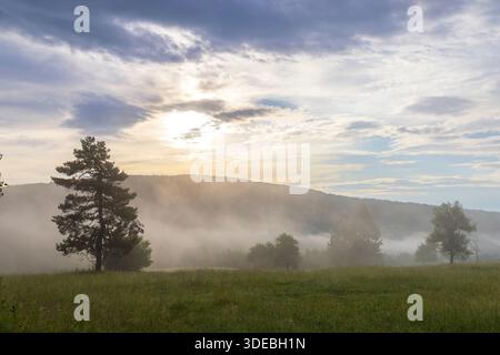 Nebel bedeckt grünes Feld und Hügel mit Sonnenstrahlen, die durch Wolken brechen Stockfoto