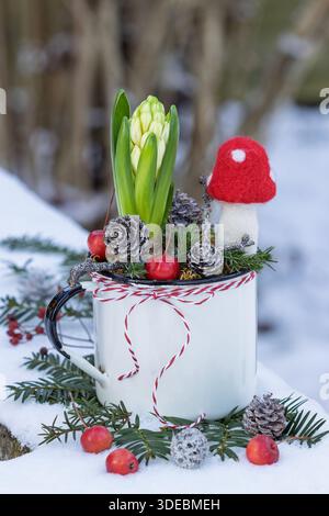 Silvester-Arrangement mit Hyazinthe, Filzfliegenagarie, Krabbenäpfeln und Kegeln in einem Vintage-Emaille-Becher im Wintergarten Stockfoto