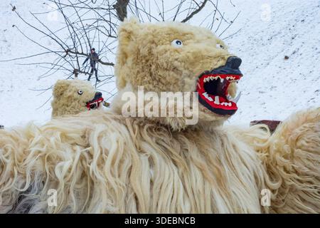 Perchtenlauf Percht Perchten Maskenzug: Bären Bad Hofgastein Pongau Salzburg Österreich Stockfoto