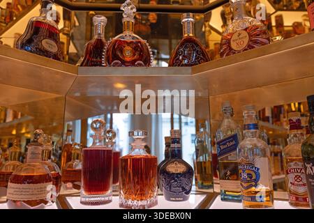 Eine kuratierte Kollektion hochwertiger Cognac-Flaschen aus handwerklichem Anbau und kleinen Chargen, elegant auf einem Barregal in einer warmen, beleuchteten Umgebung. Stockfoto