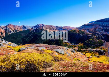 Herbstfarben der Büsche in den San Juan Mountains in Colorado Stockfoto