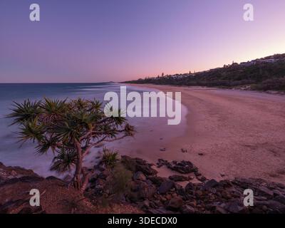Blick über Sunshine Beach vom Noosa National Park an der australischen Sunshine Coast. Stockfoto