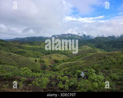 Ruhige Landschaft mit sanften grünen Hügeln und üppiger Vegetation unter bewölktem Himmel, mit majestätischem Berggipfel mit nebeliger Atmosphäre und Ruhe Stockfoto