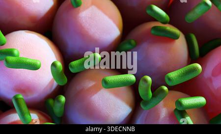 3D-Rendering grüner Bazillen, die mit rosa Darmzotten interagieren. Stockfoto