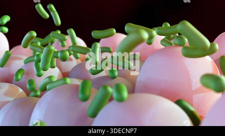 3D-Rendering grüner Bazillen, die mit rosa Darmzotten interagieren. Stockfoto