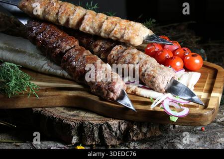 Nahaufnahme eines traditionellen kaukasischen Gerichts – gegrilltes Hackfleisch (lula Kebab oder Shish Kebab) auf Metallspießen. Mit Kebabs aus Chi Stockfoto