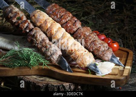 Nahaufnahme eines traditionellen kaukasischen Gerichts – gegrilltes Hackfleisch (lula Kebab oder Shish Kebab) auf Metallspießen. Mit Kebabs aus Chi Stockfoto