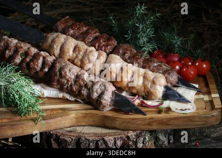 Nahaufnahme eines traditionellen kaukasischen Gerichts – gegrilltes Hackfleisch (lula Kebab oder Shish Kebab) auf Metallspießen. Mit Kebabs aus Chi Stockfoto