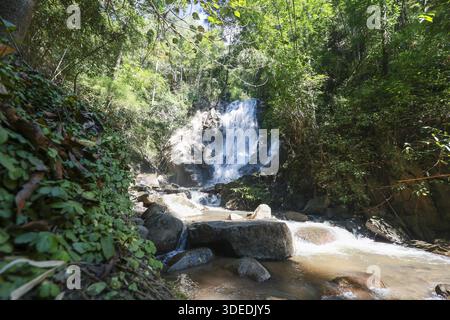 Kleiner, erfrischender Wasserfall, der über Felsformationen in einen klaren Bach stürzt, umgeben von üppig grünen Laubwäldern, Waldbäumen, Naturlandschaft im Freien Stockfoto