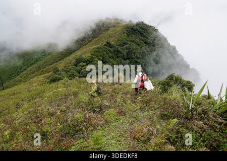 Wanderer wandern auf einem nebeligen Bergkamm, umgeben von dichtem Nebel und üppiger grüner Vegetation in einer wilden Landschaft. Stockfoto