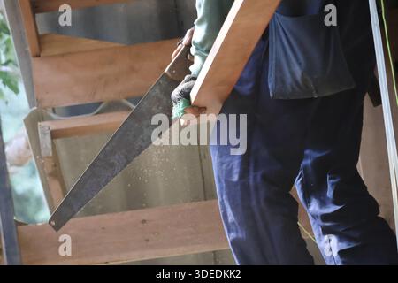 Nahaufnahme eines aktiven Bauarbeiters mit Bauholz auf der Schulter mit sicherer Entschlossenheit während der Haussanierung Stockfoto