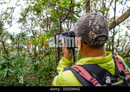Rückansicht eines Naturfotografen mit Tarnmütze und gelber Jacke, der Fotos in einem dichten grünen Wald macht. Stockfoto