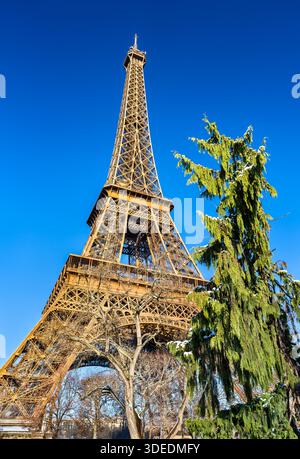 Eiffel Tower stands in Paris, France. Winter scene features a snow-covered pine tree and the iron monument under a clear blue sky Stockfoto