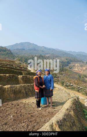 Hmong-Frauen in traditioneller Kleidung stehen auf Terrassenfeldern mit Bergen im Hintergrund und zeigen die ethnische Kultur und das ländliche Leben in Vietnam. Stockfoto