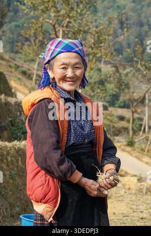 Lächelnde ältere ethnische Frau in traditionellem Kopftuch und Weste, die in einem ländlichen asiatischen Dorf Stroh hält und authentische Kultur zeigt Stockfoto