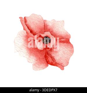 Aquarellzeichnung mit Mohnblumen. Abstrakte Illustration von Wildblumen in Rottönen. Handgemalte botanische Illustration. Stockfoto