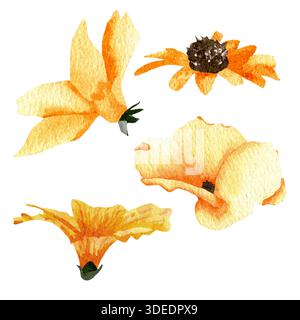 Ein Set mit vier Aquarellblumen. Abstrakte Illustration von Wildblumen in Gelbtönen. Handgezeichnete botanische Illustration. Clip-Art des zarten fl Stockfoto