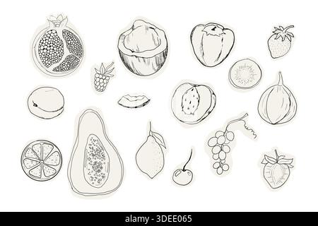 Fruit Doodle Sketch Kollektion handgezeichnete tropische und Gartenfrüchte und Beeren. Dekorative Vektorelemente für Poster, Plakat, Grußkarte, Menü oder Hochzeitseinladung. Vektorabbildung Stock Vektor