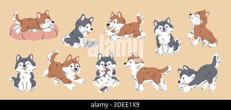 Cartoon-Husky-Charaktere. Verschiedene Posen und Farben, nördliche Hunderasse, süßer Welpe mit dicken langen Haaren, rennen, sitzen und essen lustige Haustiere Stock Vektor