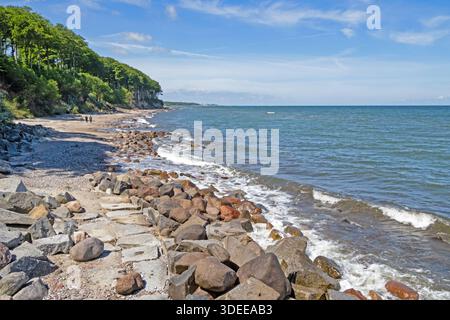 Sommerliche Ostseeküste mit Felsen und Bäumen in der Nähe des Seebades Heiligendamm, Deutschland Stockfoto