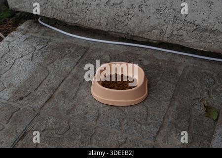 Eine Tiernahrungsschale steht auf einer rauen Steinoberfläche in der Nähe einer Wand. Die Schüssel ist mit Trockenfutter gefüllt. Sonnenlicht wirft Schatten um die Gegend, mit Pflanzen im Hintergrund. Stockfoto
