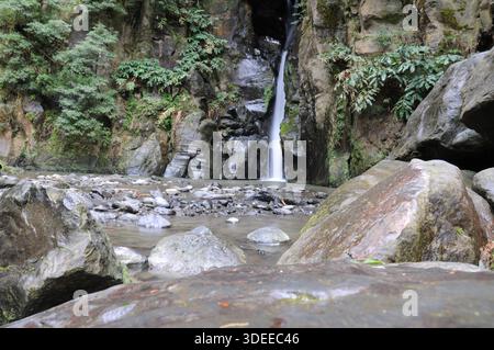 Kleiner Wasserfall, der durch eine felsige Schlucht fließt, umgeben von üppiger grüner Waldvegetation. Stockfoto