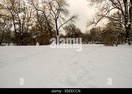 Schneebedeckte Parklandschaft, in der Wege und Wiesen unter einer durchgehenden Schneedecke verschmelzen. Mehrere Schneemänner in der Ferne sorgen für Ruhe und verspieltes A Stockfoto