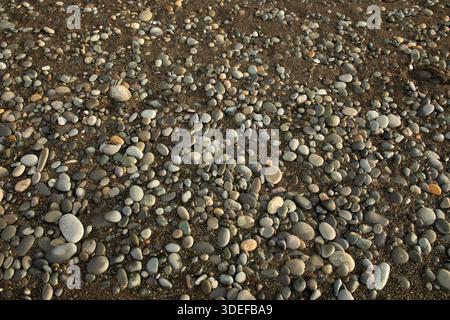 WA28831-00... abgerundete Felsen am Strand entlang der Pazifikküste in Washington. Stockfoto