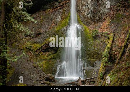 Marymere Wasserfall nahe Lake Crescent. Stockfoto